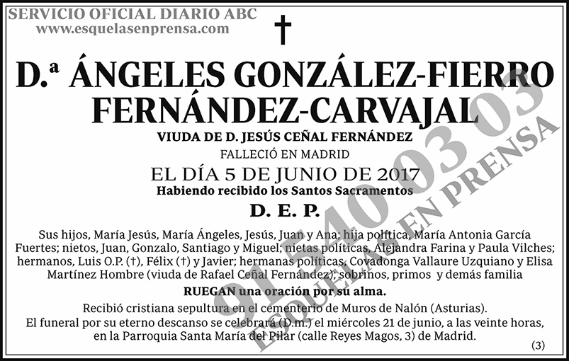 Ángeles González-Fierro Fernández-Carvajal